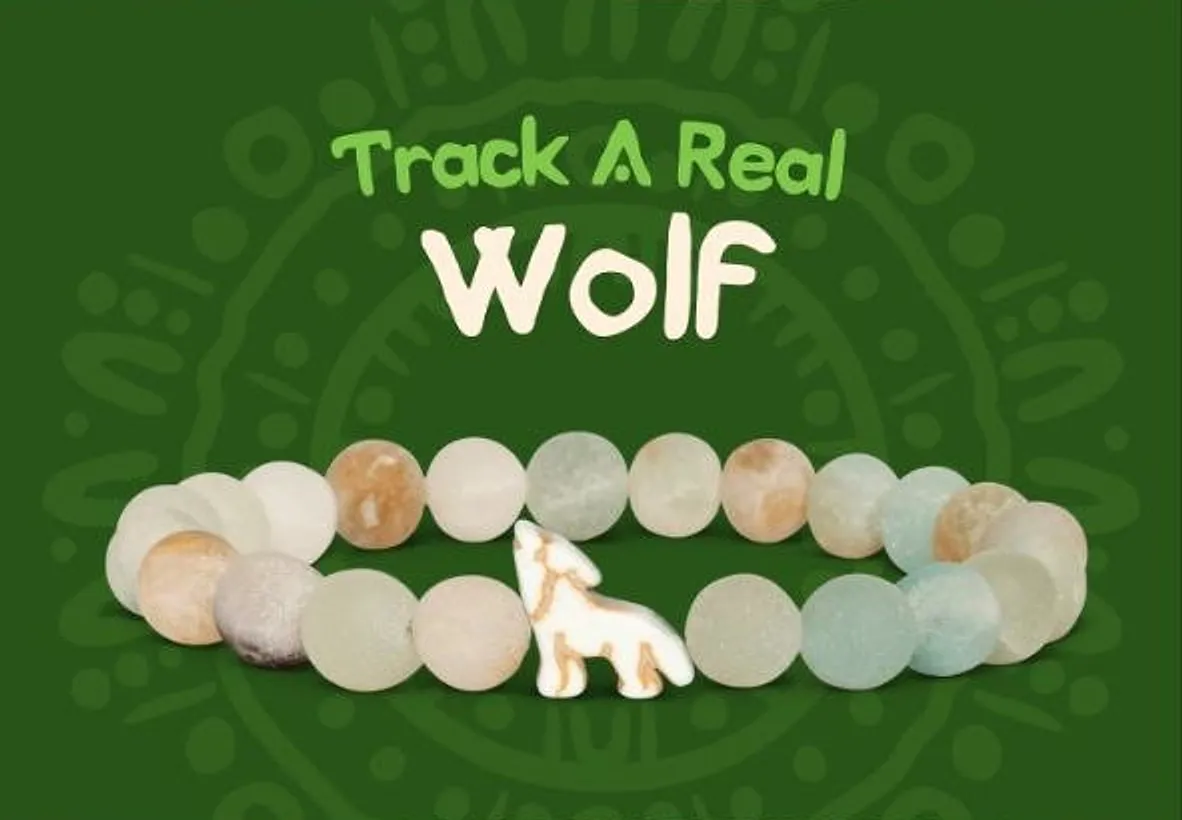 The Wolf Bracelet — Небесний камінь